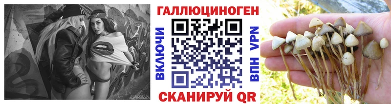 Псилоцибиновые грибы Psilocybe  Семикаракорск 